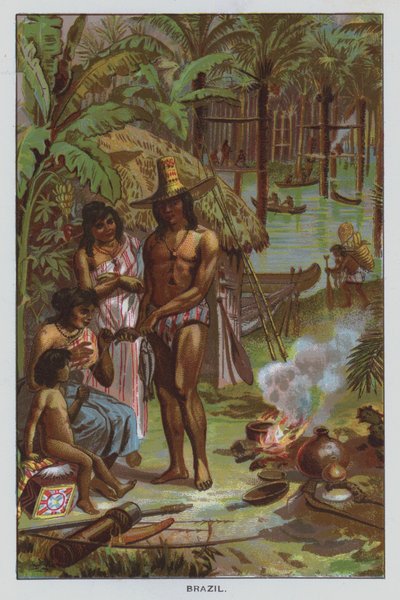 Brasilien von American School